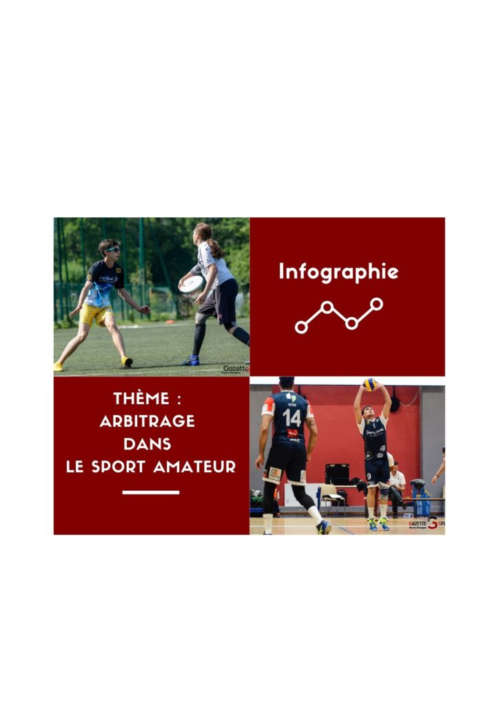 INFOGRAPHIE : L&rsquo;arbitrage vu par les Français