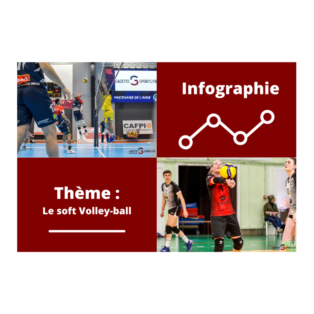 INFOGRAPHIE : LE SOFT VOLLEY-BALL EN FRANCE
