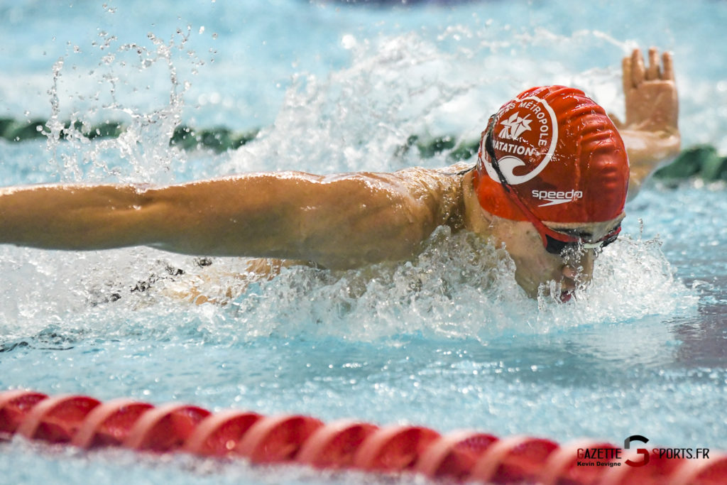 FOCUS CLUB : L’Amiens Métropole Natation comme un dauphin dans l’eau