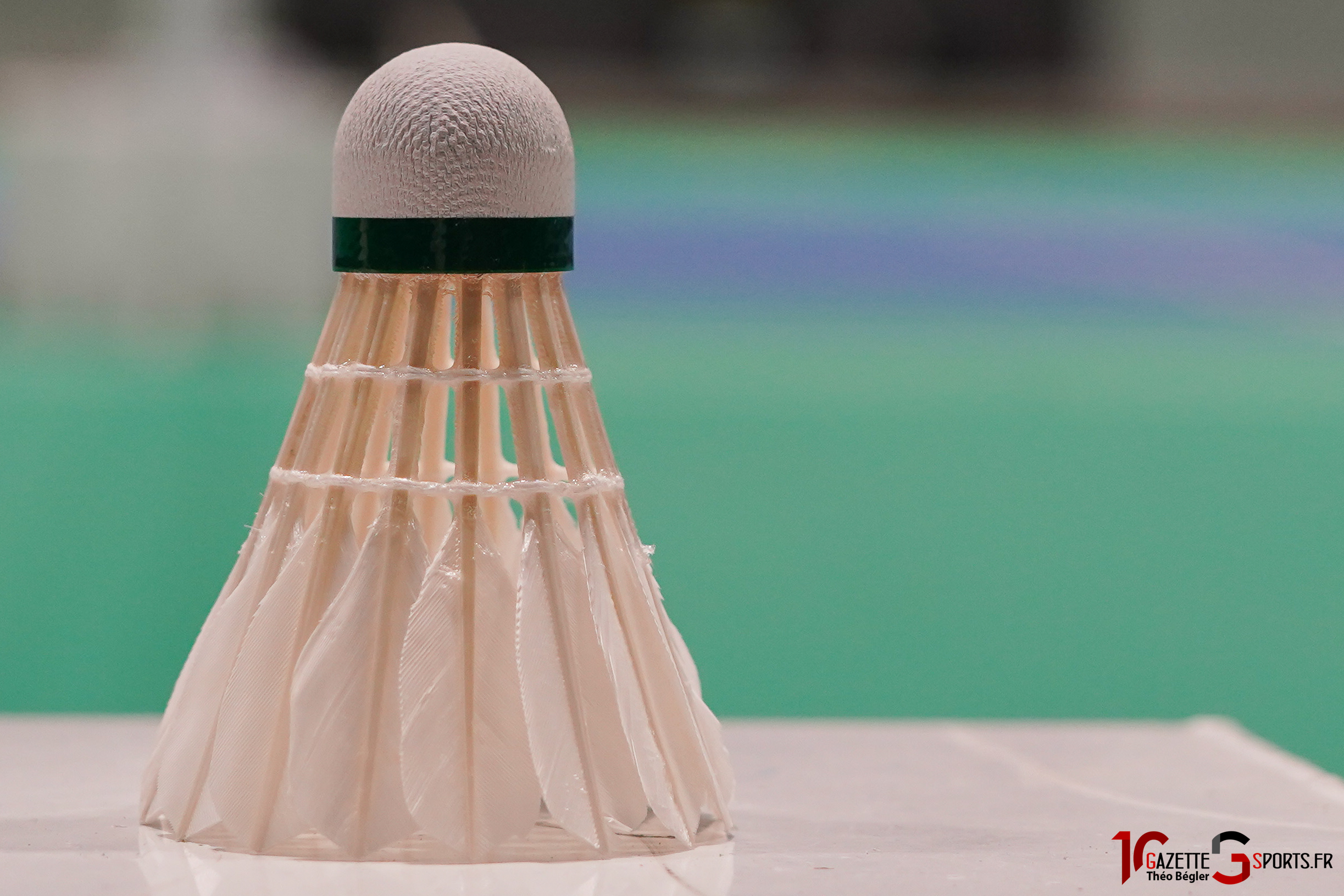 FOCUS CLUB : L&rsquo;Albert Sport Badminton tourné vers l&rsquo;avenir